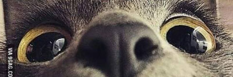 indanazlfa's profile banner image