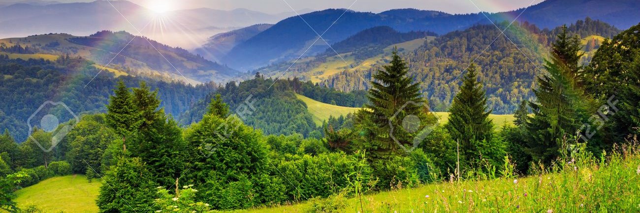 paul locandro banner