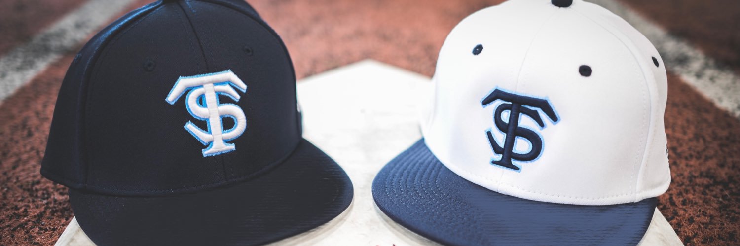 Titus Baseball Academy banner