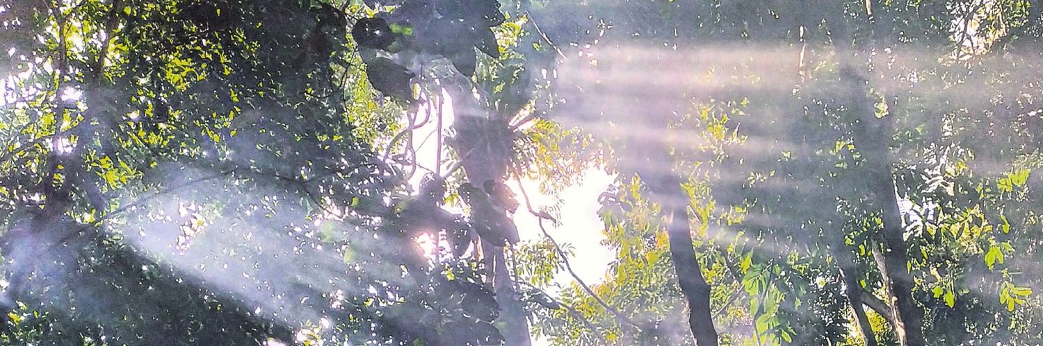 DWDeni's profile banner image