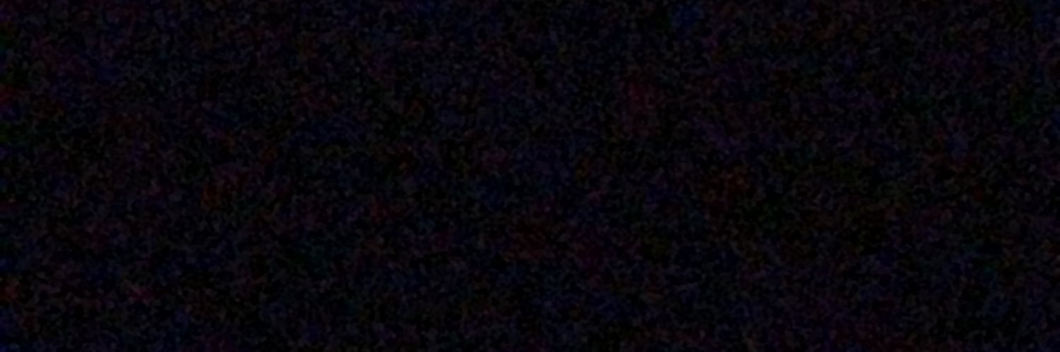 The Wacko Wizard 🐝 banner