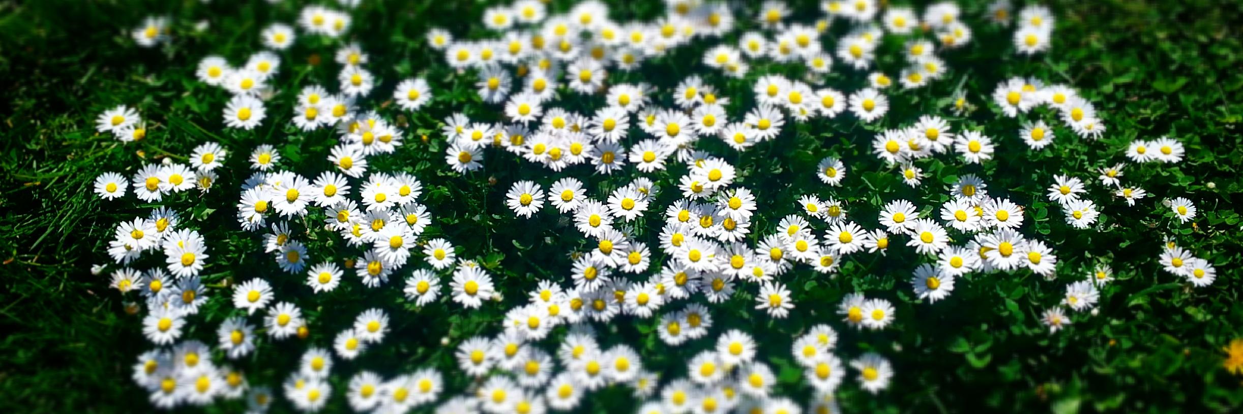 Barbara_Zajc's profile banner image