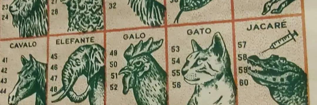 Político de estimação banner
