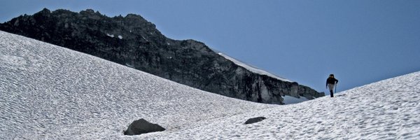 RobertB Profile Banner