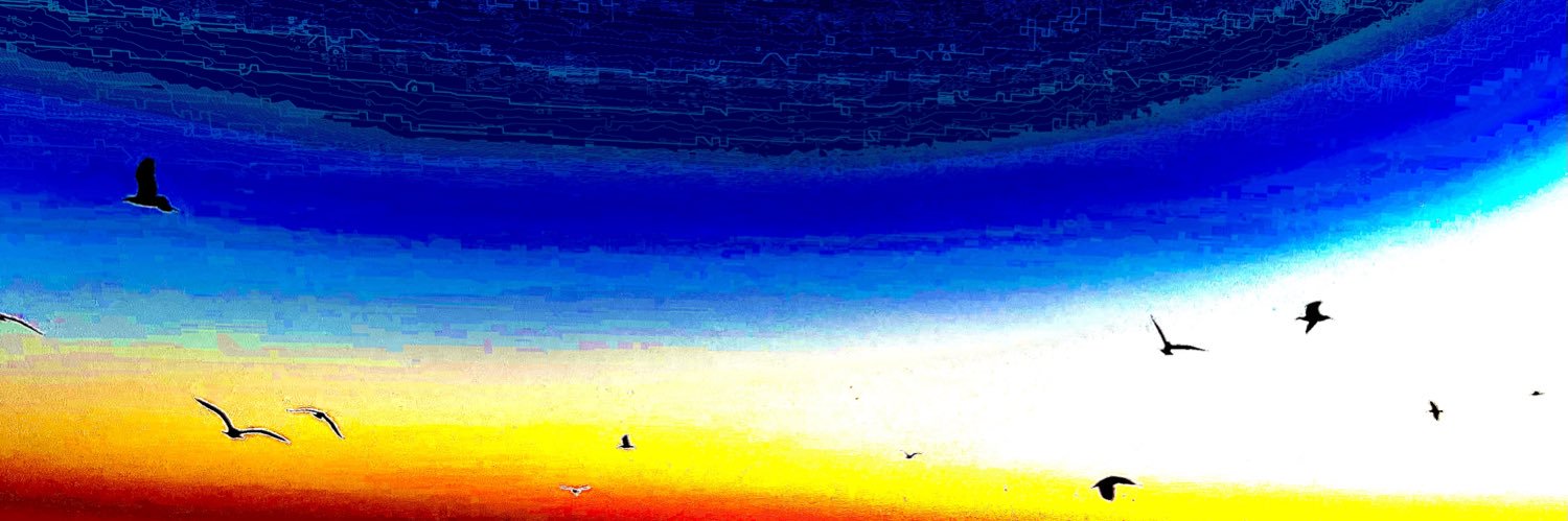 ⓧ rwizard1g banner