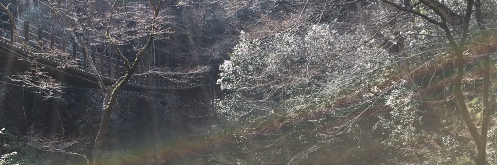 wa_stsocb's profile banner image