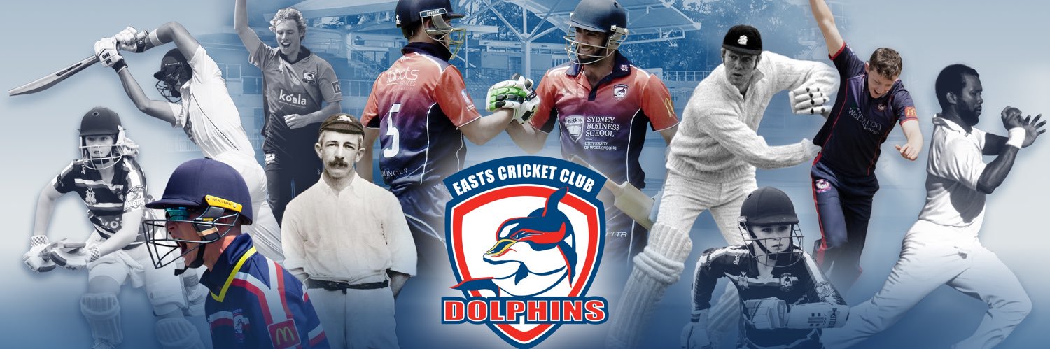 Easts Dolphins banner