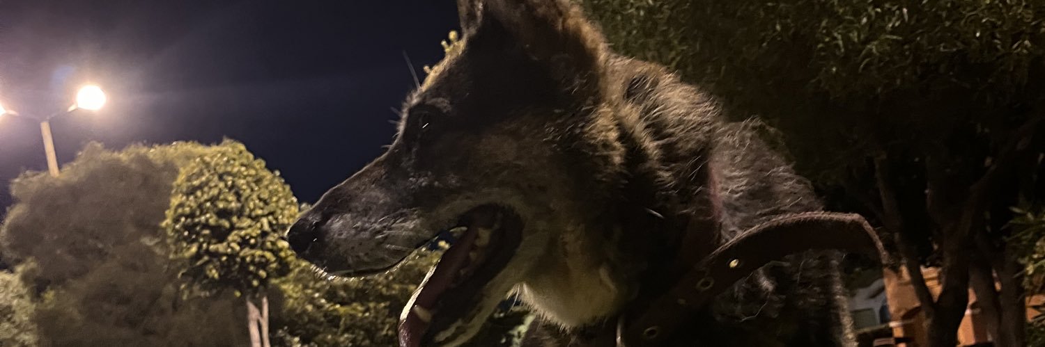 𝒥𝒾𝓈𝓊𝓈 banner