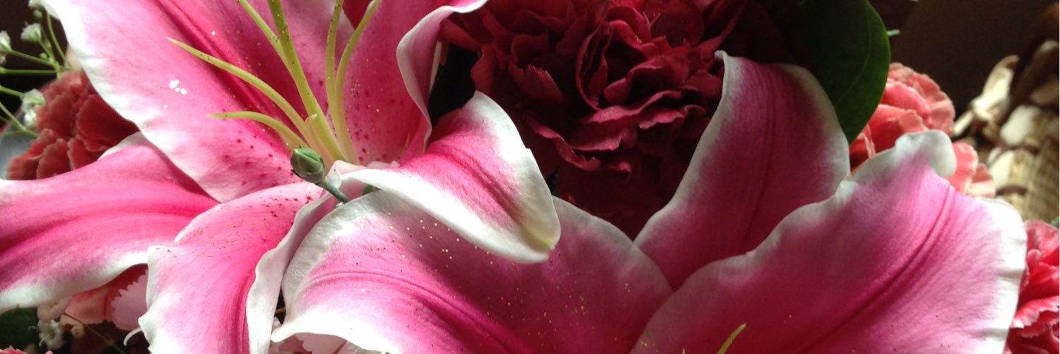 LEAF_Dior's profile banner image