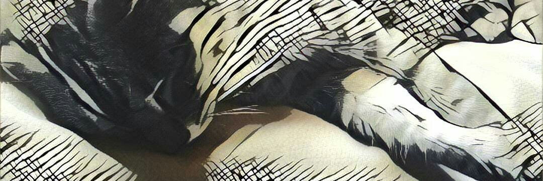 nnnnn_28's profile banner image