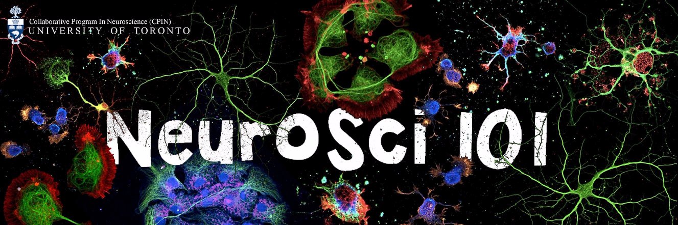 Neurosci101CPIN's profile banner image