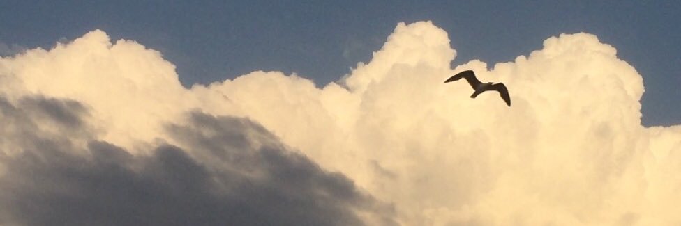 aysegulaksit's profile banner image