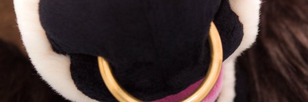 BuckWithKey Profile Banner
