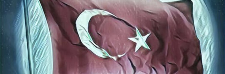 NedBoss1's profile banner image
