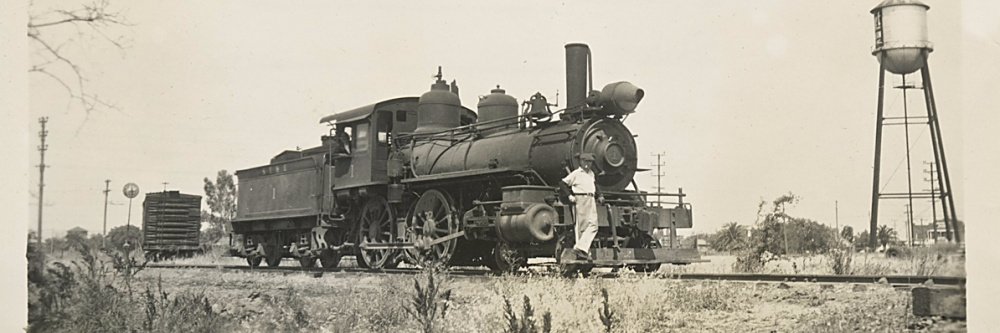 Singing Snake banner