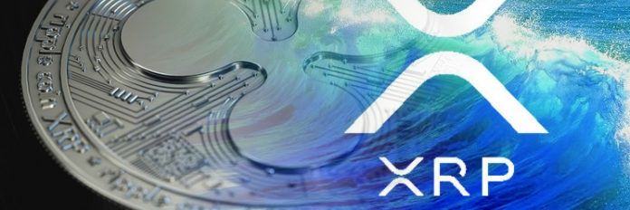 RippleMeThisxx's profile banner image