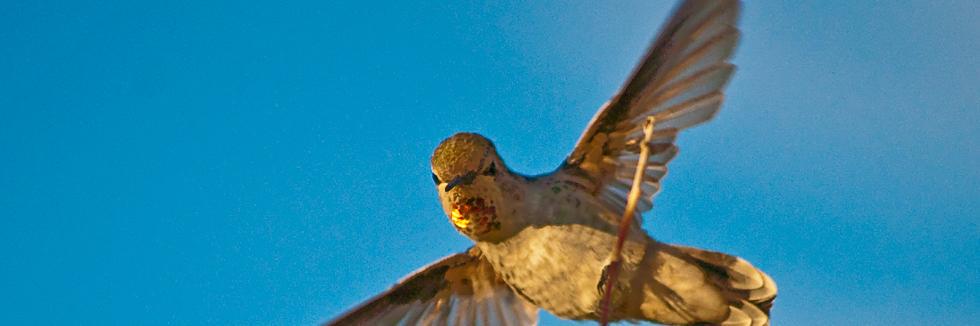 MacDonaldPhotog's profile banner image