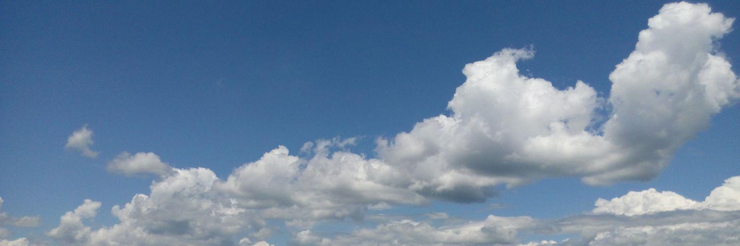 tatamossa's profile banner image