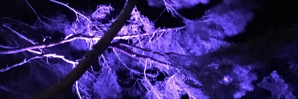 cailbvcon's profile banner image