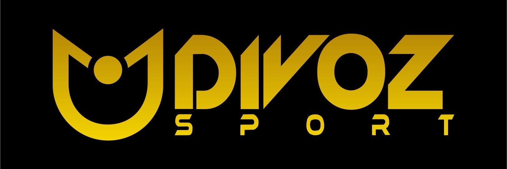 hisilverbugs's profile banner image