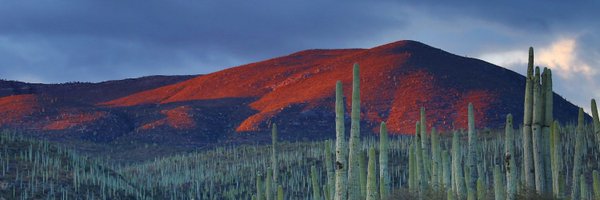 ramykand Profile Banner