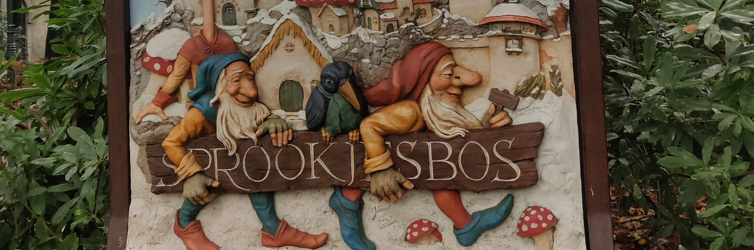 Wim Robberecht banner