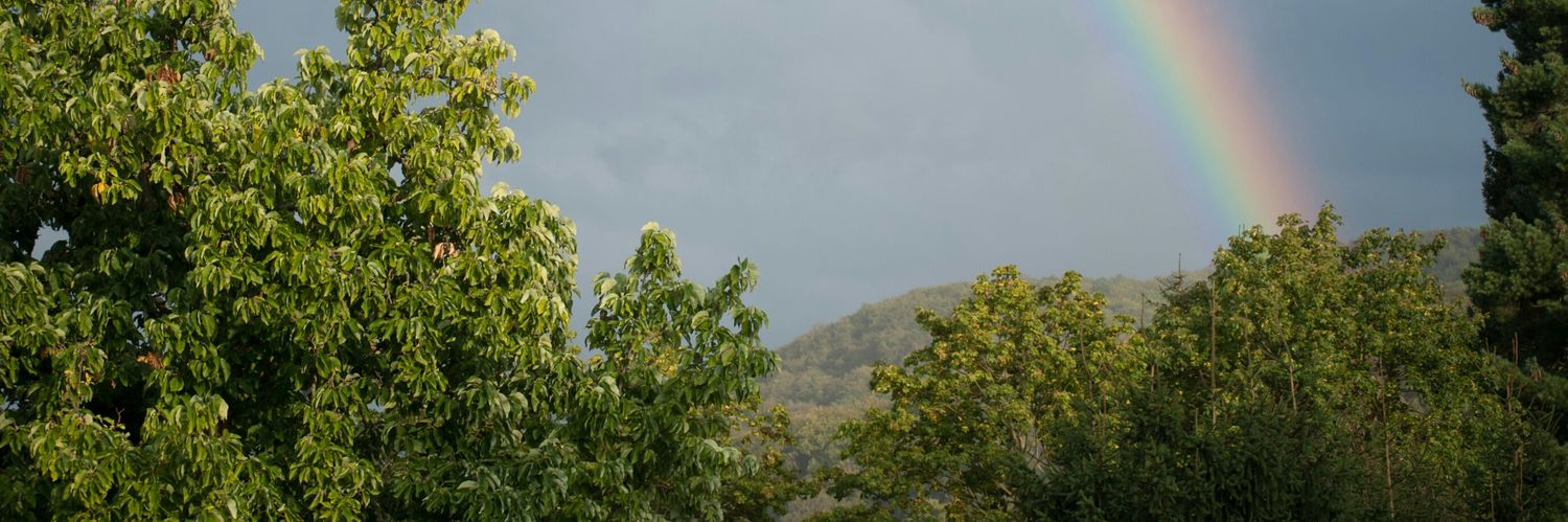 Tooro Environment Stewardship for Sustainable Devt banner