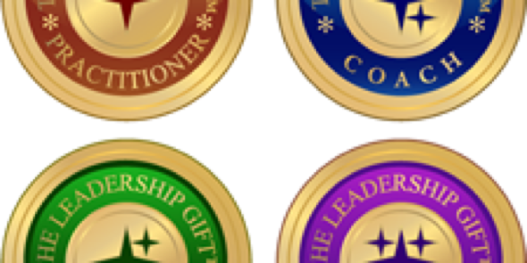 THE LEADERSHIP GIFT banner