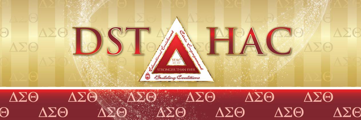 DSTHAC1913's profile banner image