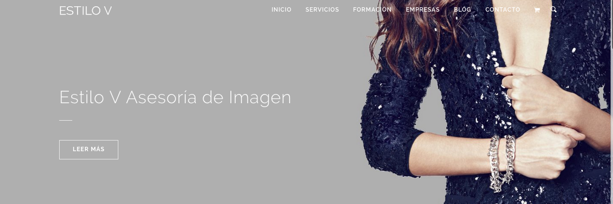 EstiloVasesoria's profile banner image