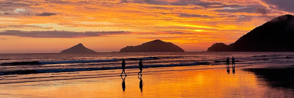 David Schlesinger banner