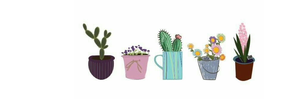 helin_calkar's profile banner image