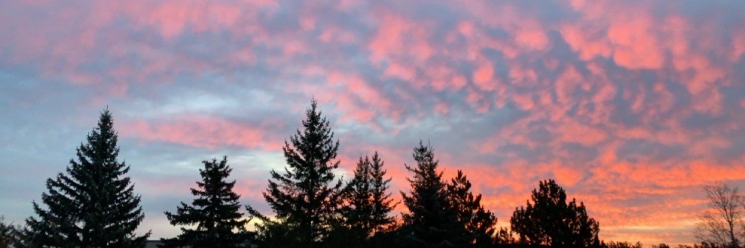 robin_brough's profile banner image