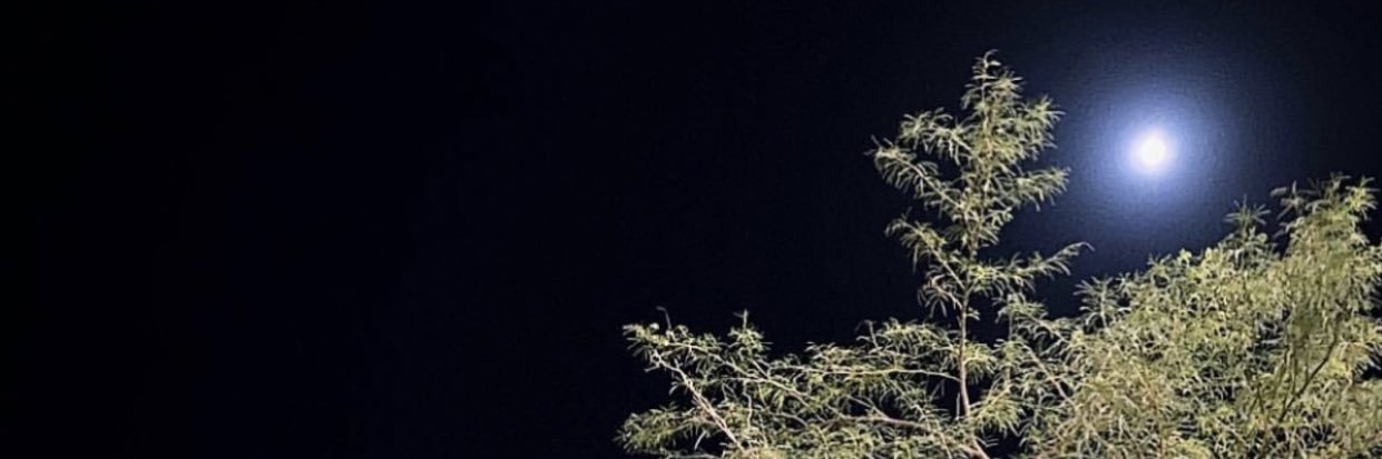 _7wtr's profile banner image
