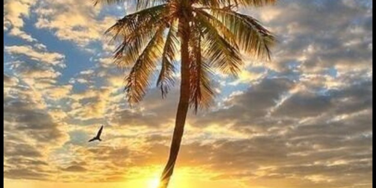 Tarrah Beyster banner