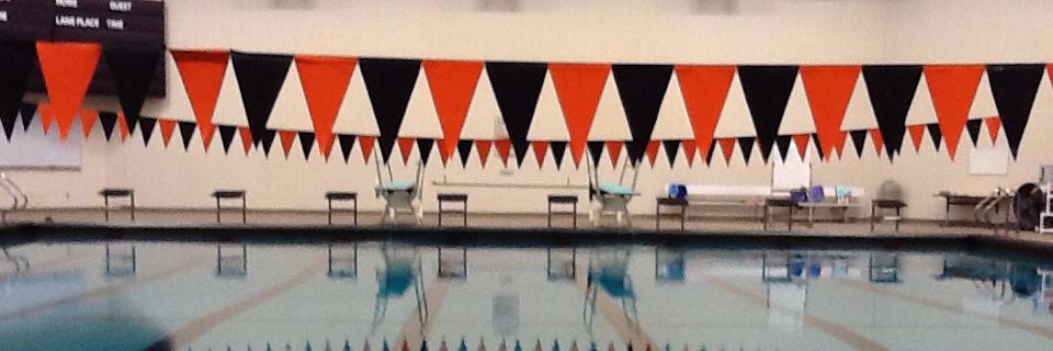 Lady Tigers banner
