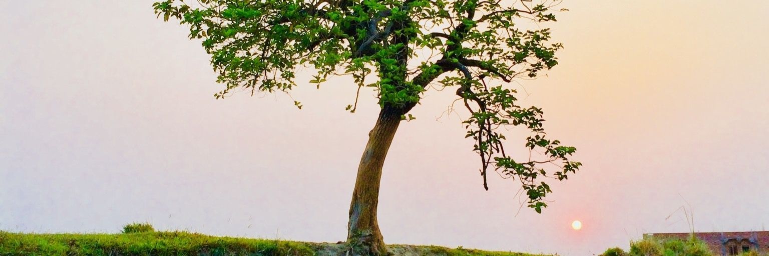 1kumar2p's profile banner image