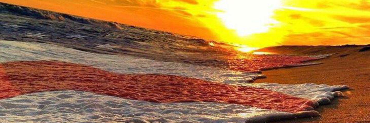 nathchambers's profile banner image