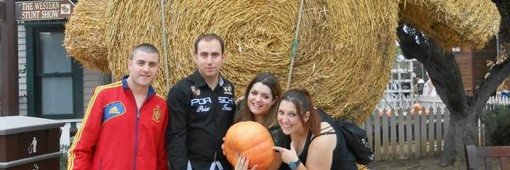 Virginia Torres banner