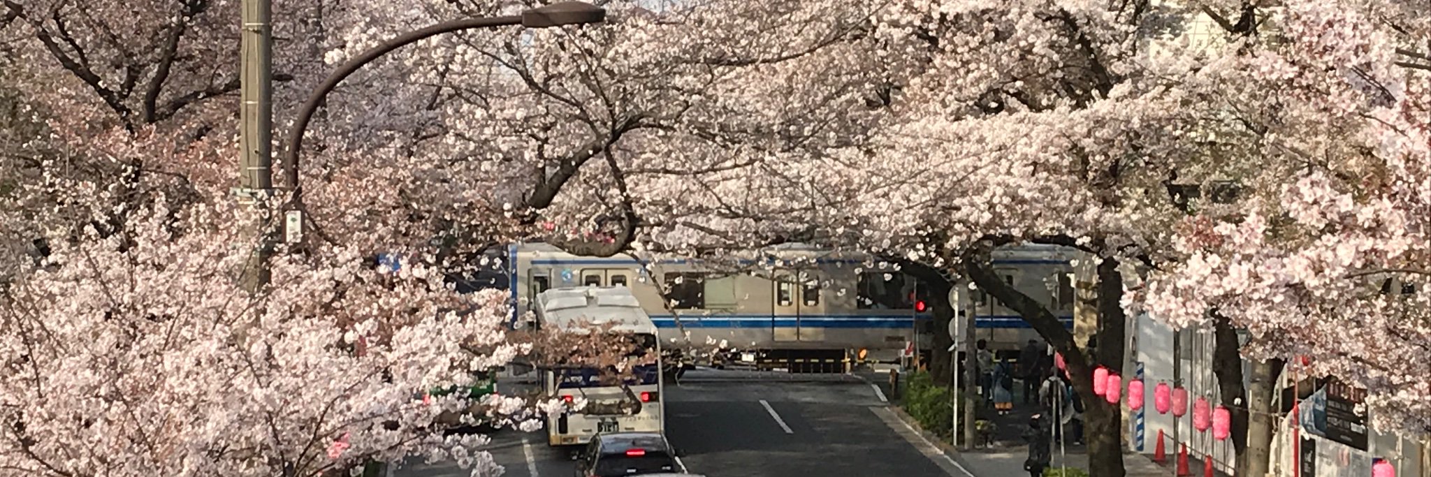 みそ banner