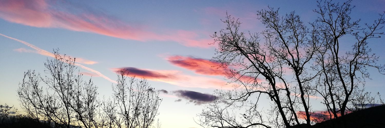 robybruni09's profile banner image