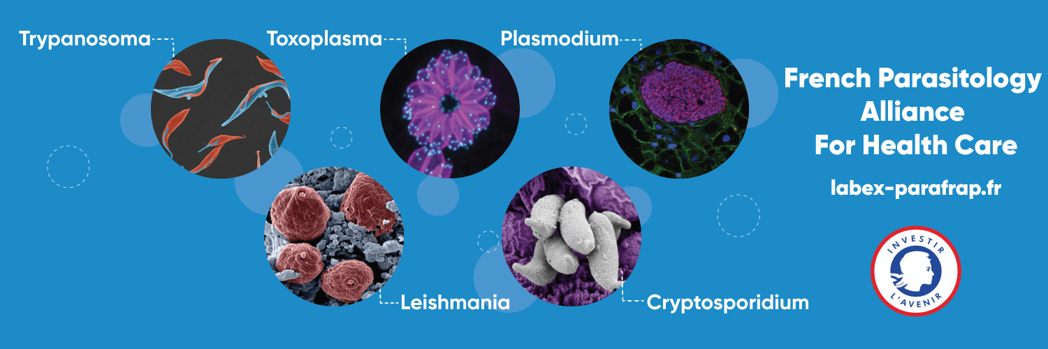 LabEx ParaFrap's banner