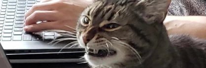 NOTICER69's profile banner image
