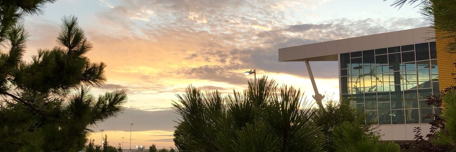 Billy Buffalo banner