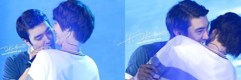 コイド@低浮上 banner