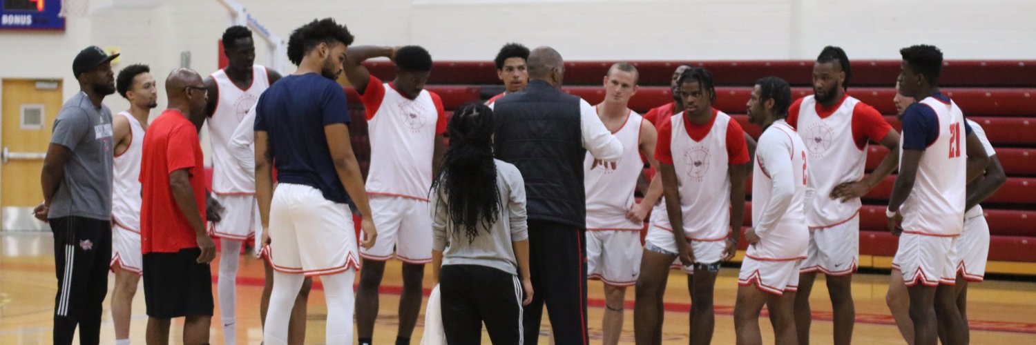 Detroit Mercy MBB banner