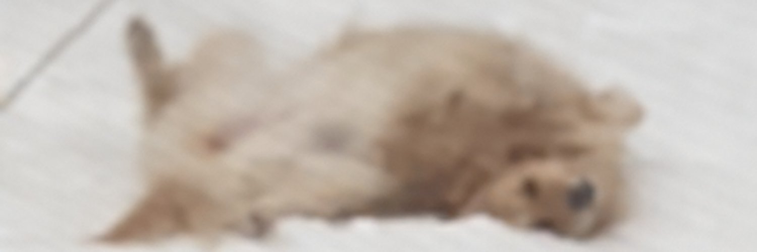 rahlious's profile banner image
