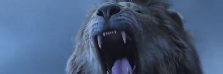 Crypto_domm's profile banner image