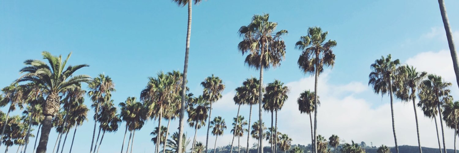 paulabanski's profile banner image