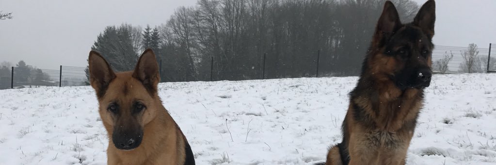 c_laurane's profile banner image